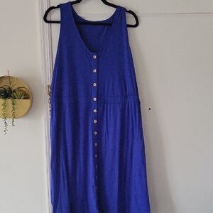 Blue Sleeveless Button-Down Dress
